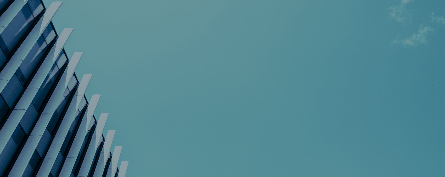 安丘市順隆聚氨酯有限公司